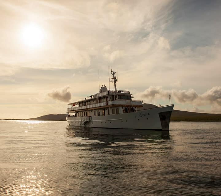 Grace Yacht at sunset in Galapagos Grace Yacht at sunset in Galapagos