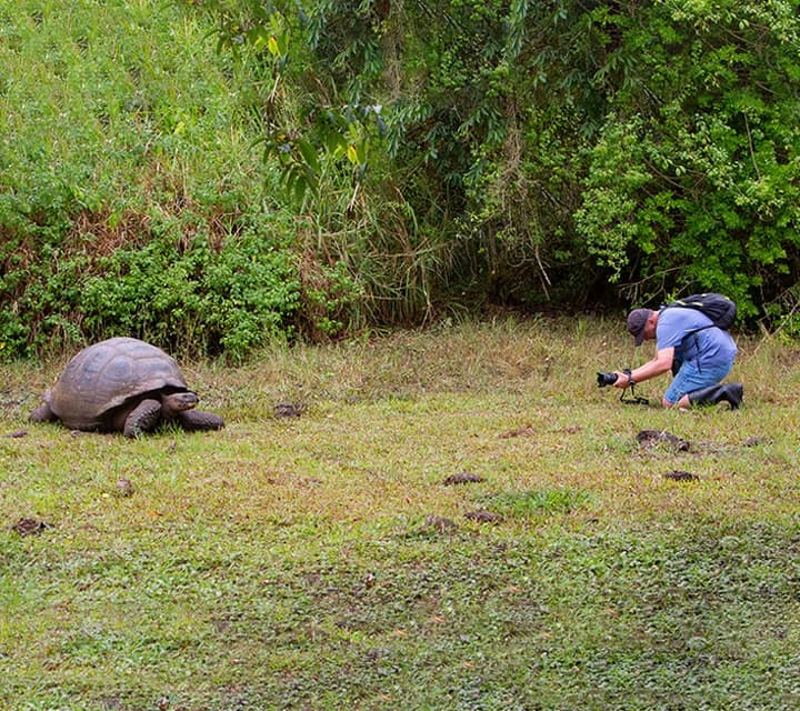 Photographing a Giant Tortoise on a Galapagos cruise
