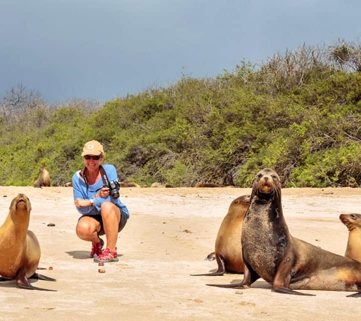 Wildlife Experiences in the Galapagos Islands