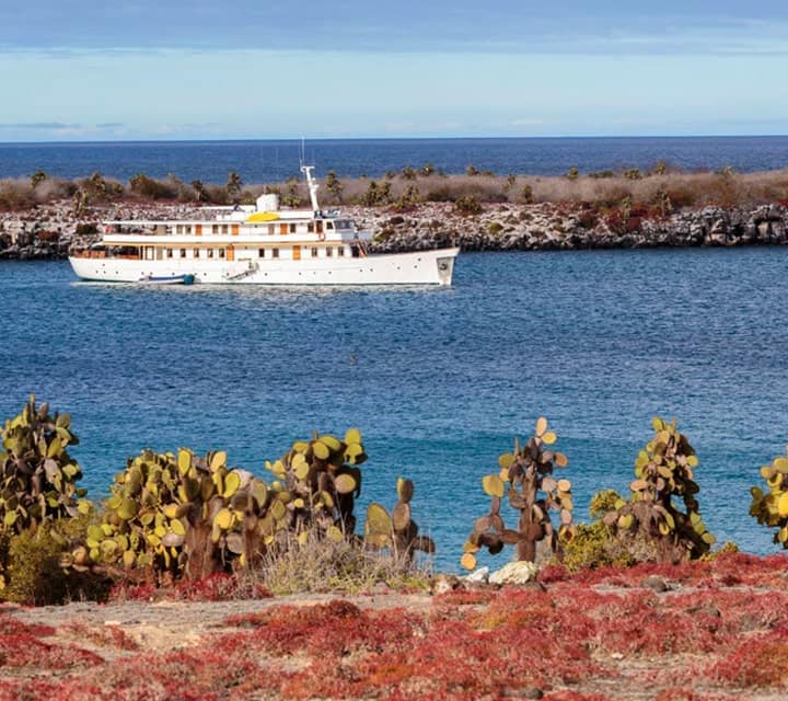 Cacti Landscape in Galapagos with Grace Yacht