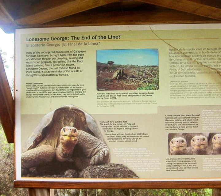 Lonesome George: The End of the Line? Plaque
