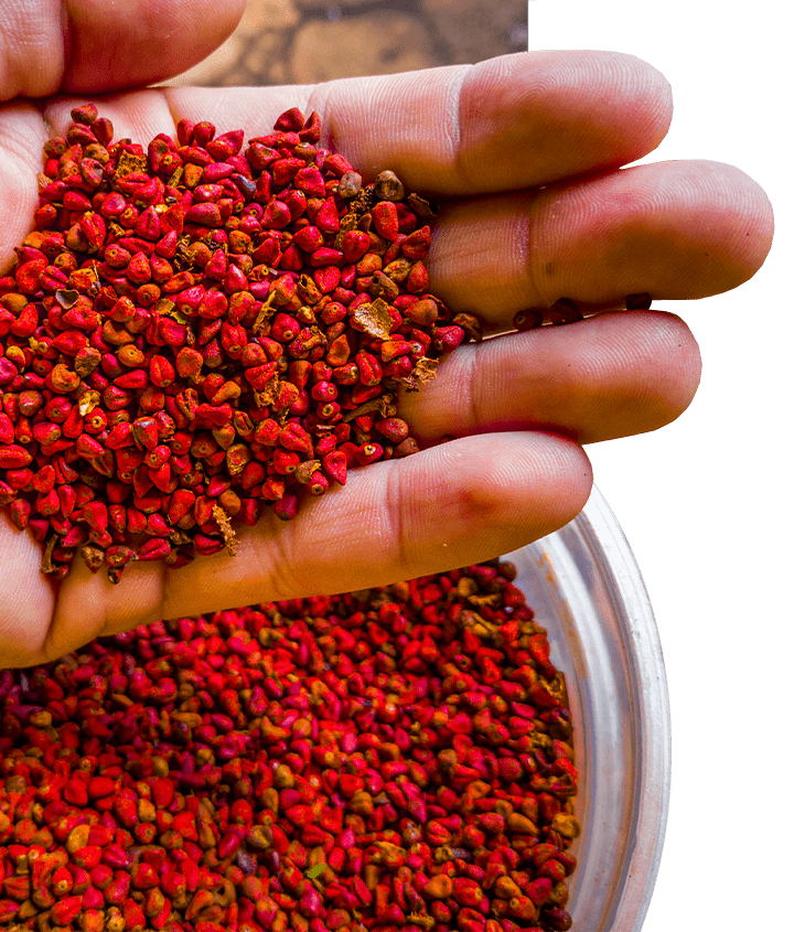 Achiote ingredient