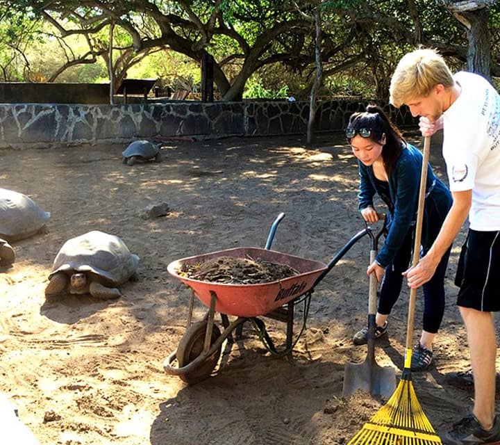 Agriculture in the Galapagos Islands