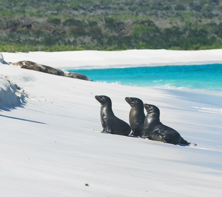 2015 World’s Best Islands - Galapagos Islands