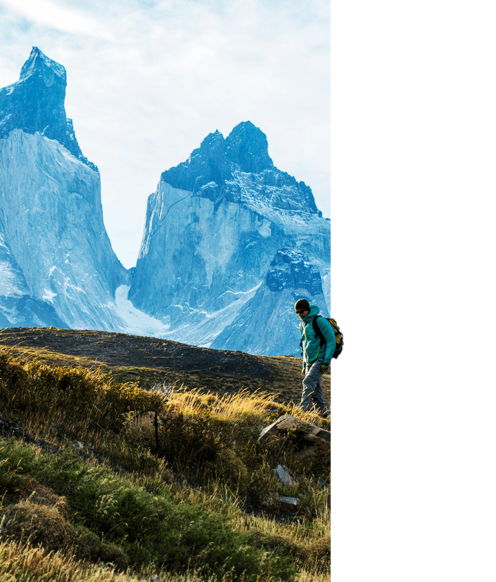 Tree burning in Torres del Paine National Park 2011
