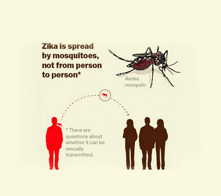 Zika is spread by mosquitos, not from person to person