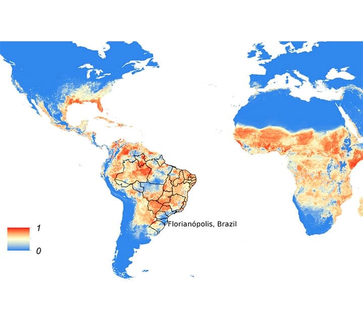 Global map showing the spread of the Zika virus