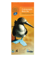 Galapagos Birds Life Galapagos Birds Life