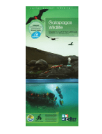 Galapagos Wildlife Galapagos Wildlife