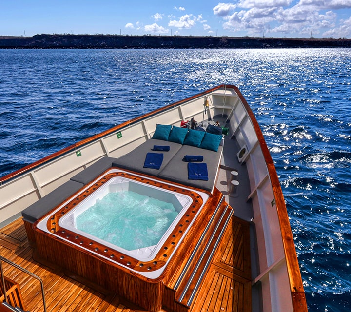 A popular feature for Galapagos cruises is the Grace Yacht or Evolution Yacht jacuzzi on deck
