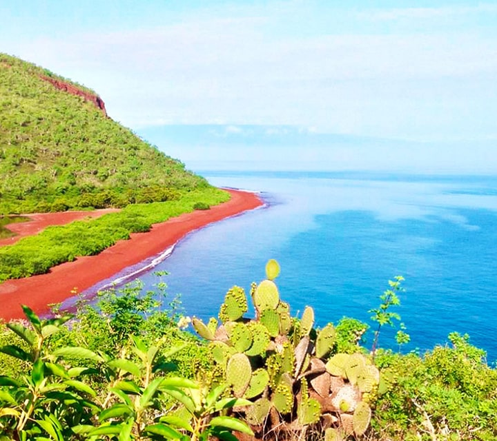 Red sand outline the coast of Rabida Islad with green lush flora, Galapagos Islands