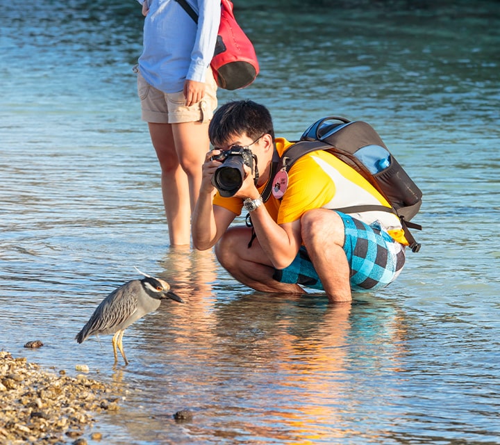 Photographer squating down with feet in the ocean to take a photo of a Lava Heron, Galapagos Islands