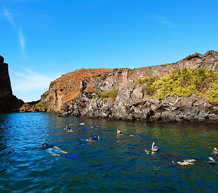 Snorkeling in a desolate Galapagos cove A group of snorkelers in a desolate cove in the Galapagos Islands