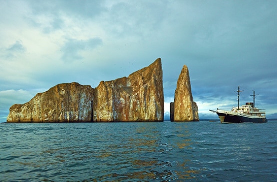 Evolution Yacht Reviews
