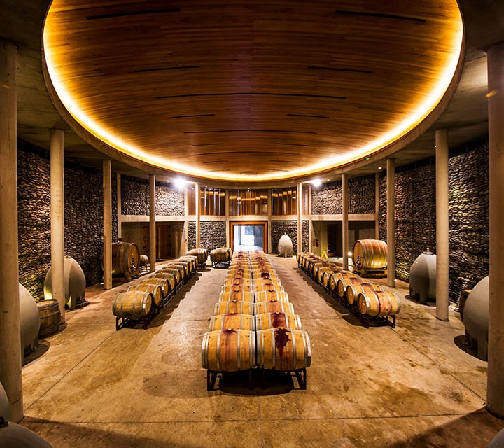 Beautiful wine cellar at a Chile Vineyard
