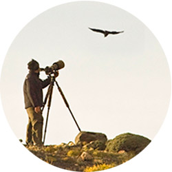 Bird Watching in Patagonia