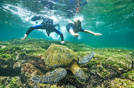 Charter Cruises Galapagos