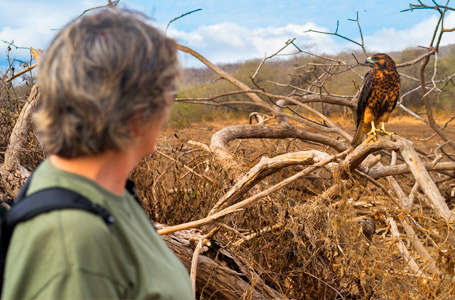 Wildlife Encounters