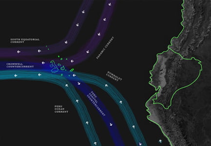 Galapagos Islands Humboldt Current