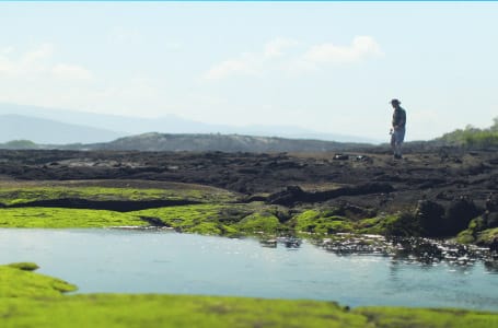 April in the Galapagos