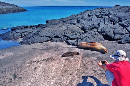 August in the Galapagos