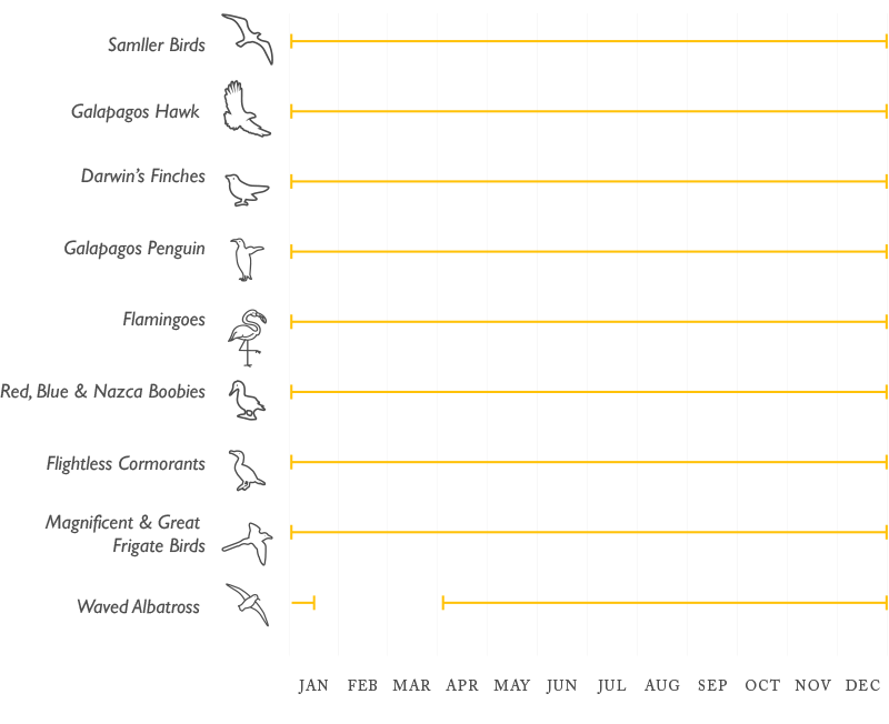 Galapagos Bird Chart