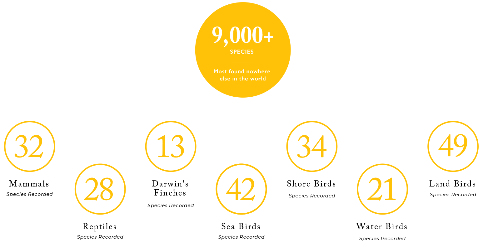 Galapagos Wildlife Species Count