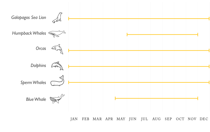 Mammals of Galapagos Galapagos Mammals Seasonality