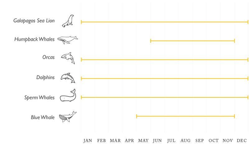 Galapagos Mammals Seasonality