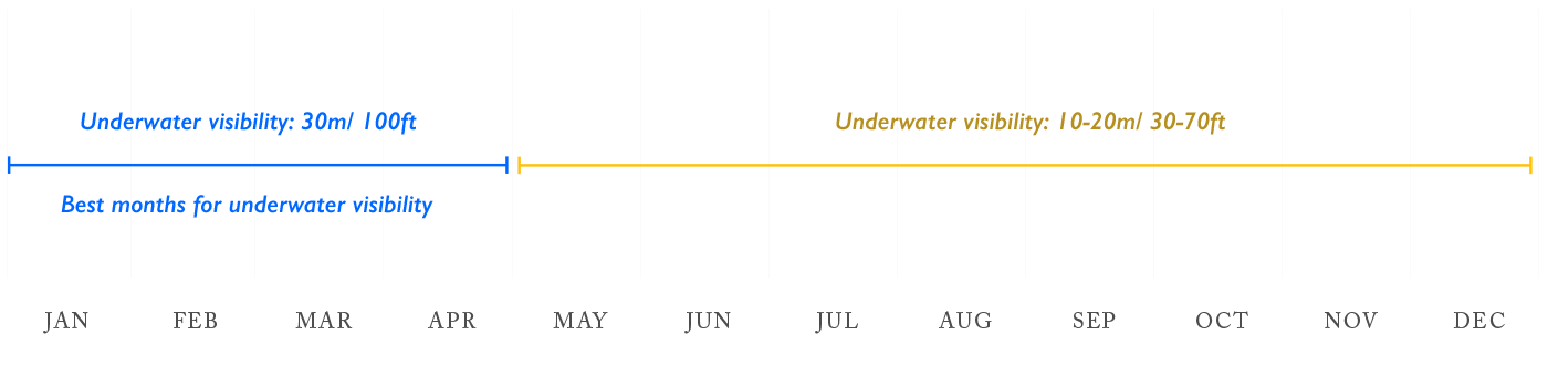 Year-round underwater visibility in the Galapagos