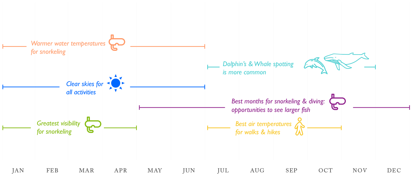 Galapagos Activities & Advantages by Month Activities and advantages by month when visiting Galapagos