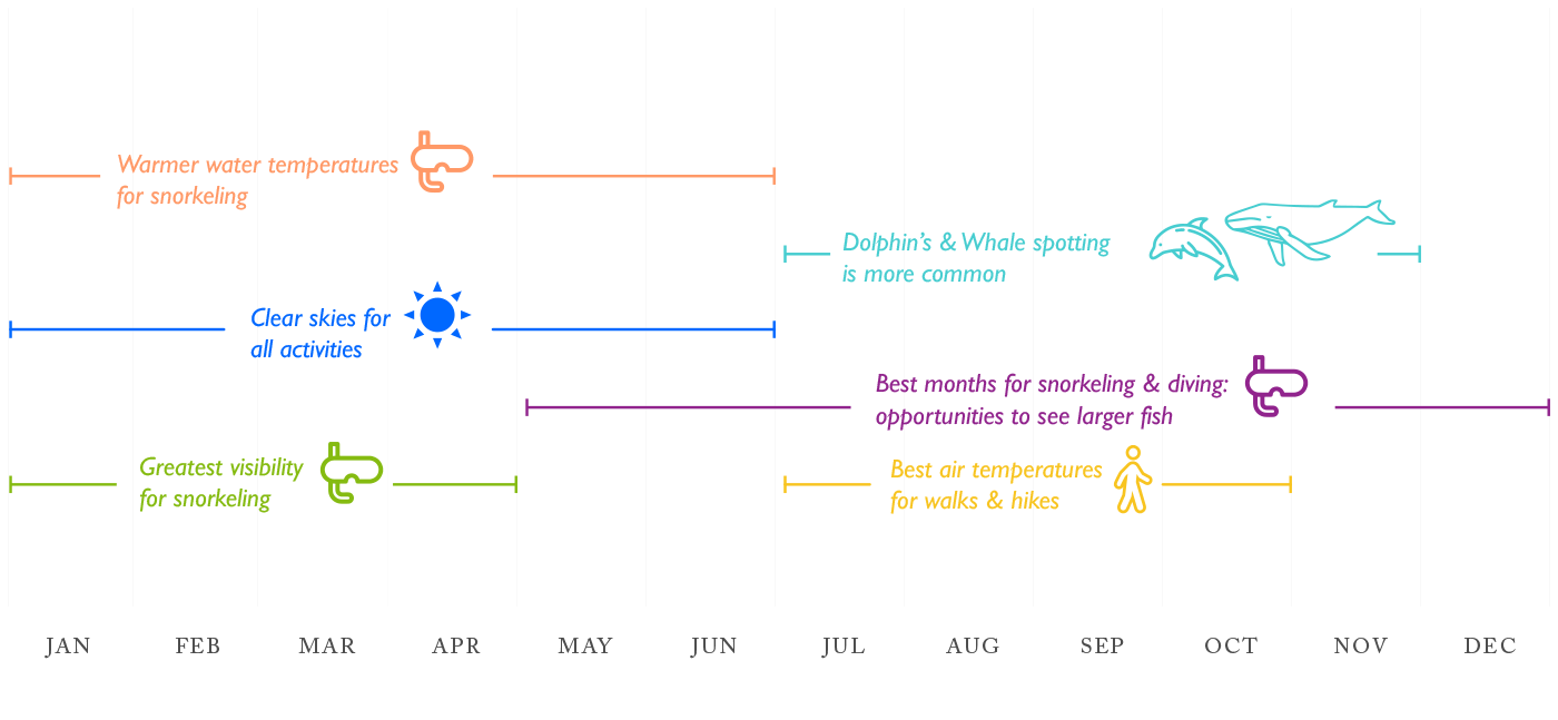 Activities and advantages by month when visiting Galapagos