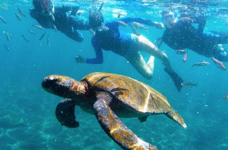 July in the Galapagos