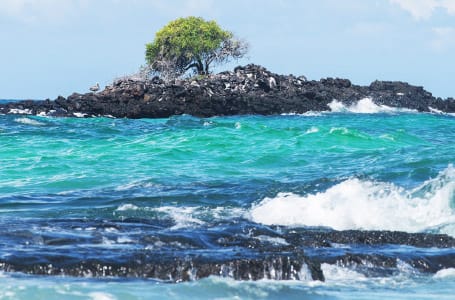 June in the Galapagos