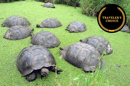 October in the Galapagos