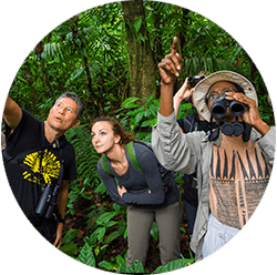 Guided Hikes in the Amazon Jungle