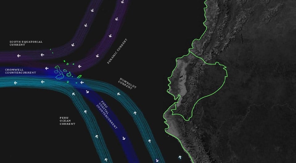 The Humboldt Current in the Galapagos Islands