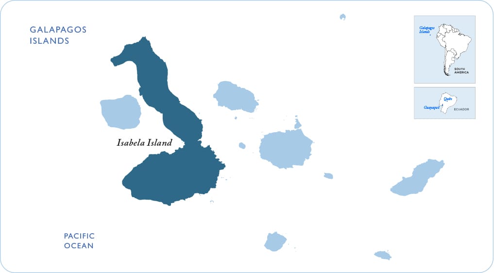 Map of the Galapagos showing Isabela Island