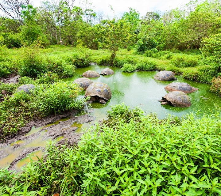 Charles Darwin Research Center in the Galapagos Islands