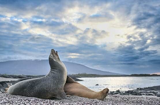 Harry Skeggs Photography Tour in Galapagos