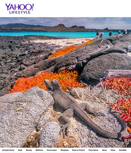 Travel Writer Visits Galapagos in 2021