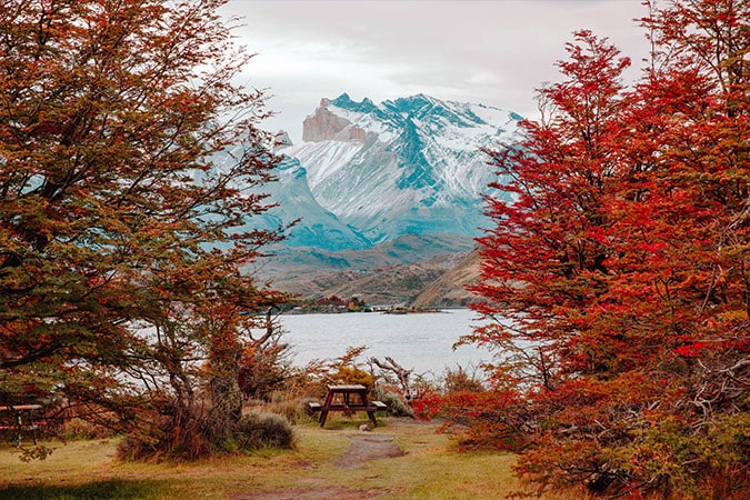Fall, mountains, forest in Patagonia