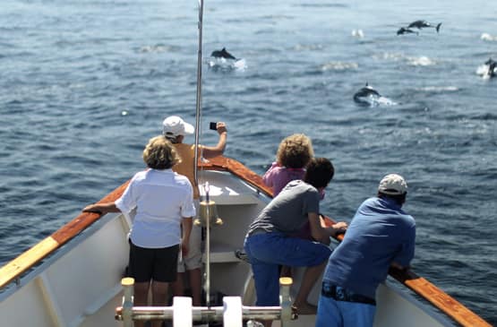 Why Choose Quasar Expeditions
