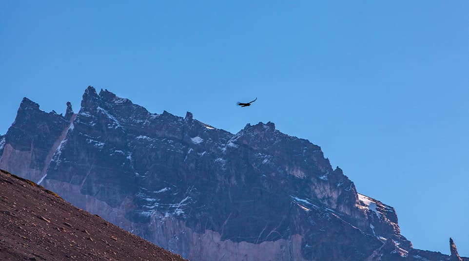 Cerro Benitez Hike Cerro Benitez Hike