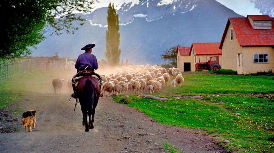 Glaciar Sur: Pioneer Option Glaciar Sur: Pioneer Option