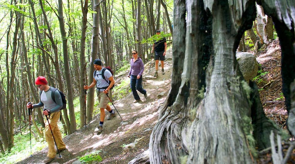 Glaciar Sur: Pioneer Option Glaciar Sur: Pioneer Option