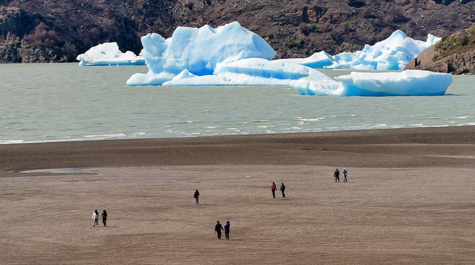 Grey Glacier Beach & Peninsula Grey Glacier Beach & Peninsula