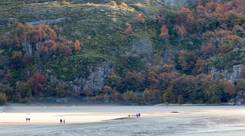 Grey Glacier Beach & Peninsula Grey Glacier Beach & Peninsula