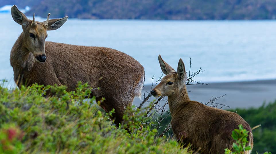Pingo Valley Hike Pingo Valley Hike