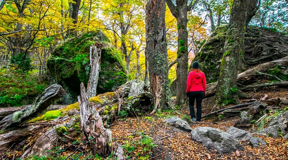 Walks & Hikes Around Aguas Arriba Walks & Hikes Around Aguas Arriba